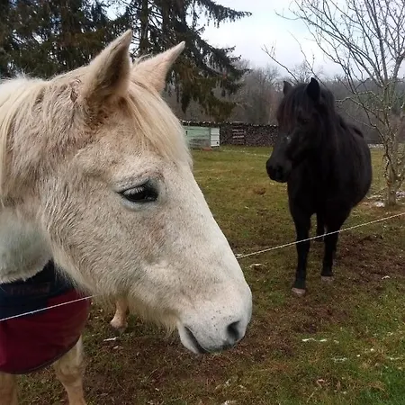 Chantacalme Casa vacanze *