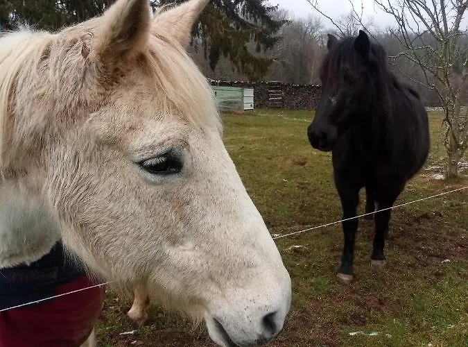 Chantacalme Vakantiehuis *